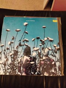 The Creatures Boomerang lp (Siouxsie side project) 1st press
