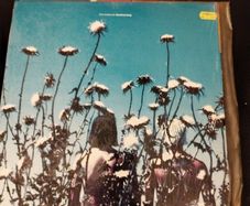 The Creatures Boomerang lp (Siouxsie side project) 1st press