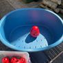 Dog Training Crate ,Bed and 8 Feeding Kongs Image 3