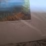 Phillip Gray Signed "An Irish Wedding Gougane Barra" Image 5