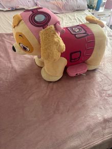 Paw Patrol Skye Ride On Toy