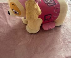 Paw Patrol Skye Ride On Toy