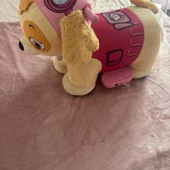 Paw Patrol Skye Ride On Toy