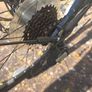 28" road bike Image 7