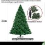 Christmas tree Image 2