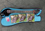 Ashbory Bass