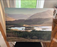 Large Canvas Print