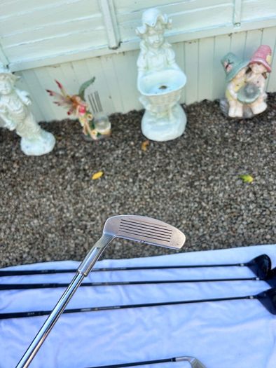 lynx golf set