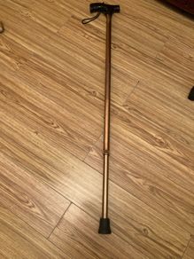 walking stick