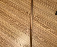 walking stick