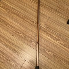 walking stick