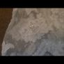 White Lace Wedding Dress Bolero Image 5
