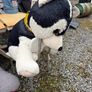 plush toy Image 2