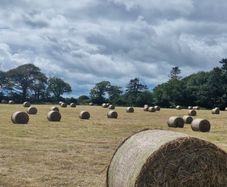 Round Hay Bales