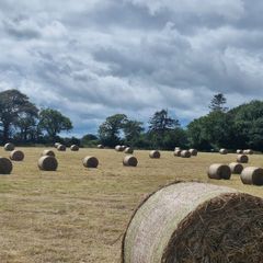 Round Hay Bales