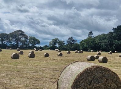 Round Hay Bales
