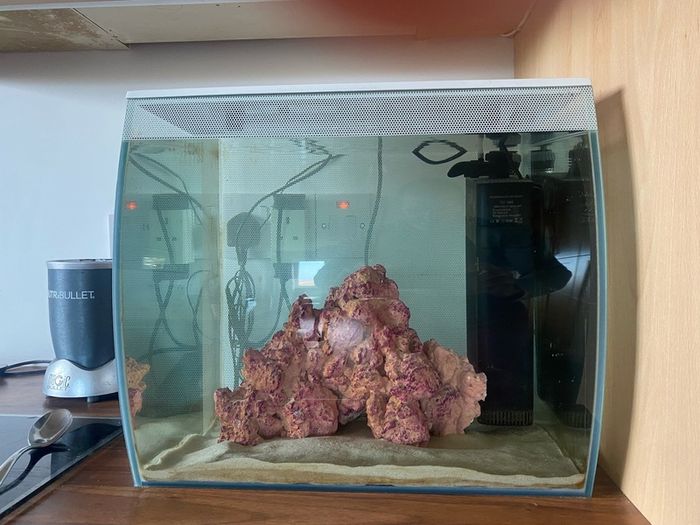 fish tank salt water 60 litre