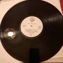 ALICE COOPER: Zipper Catches Skin - LP 1982 - UK pressing Image 3
