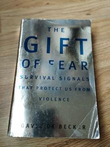 The Gift of Fear: Survival Signals That Protect Us from Violence by Gavin de Becker