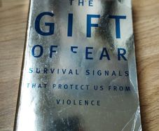 The Gift of Fear: Survival Signals That Protect Us from Violence by Gavin de Becker