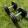 12.5kg Dumbbells x2 Image 3