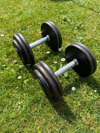 12.5kg Dumbbells x2
