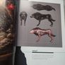 Tomb Raider - The Art of Survival Image 9