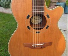 Takamine EN-30c
