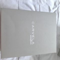 Carvela Shoes black