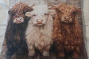 Hairy cow cushion cover