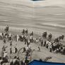 Laytown Strand Races Image 4