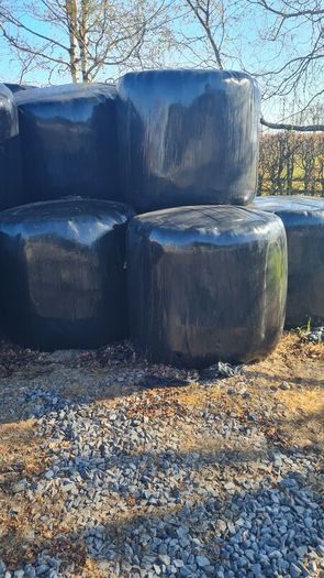 Organic Haylage