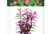 Aqua Nova Artificial Plant 20cm NP-20 20162