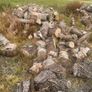 timber for sale Image 3