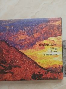 Tindersticks CD  - Falling Down A Mountain