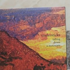 Tindersticks CD  - Falling Down A Mountain