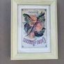 Set of 3 Vintage French Botanical / Botanical Beverage Framed Prints (Pineapple, Apricot, Anisette) Image 2