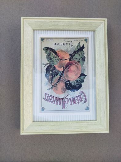 Set of 3 Vintage French Botanical / Botanical Beverage Framed Prints (Pineapple, Apricot, Anisette)