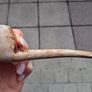 Vintage clay pipe Image 2