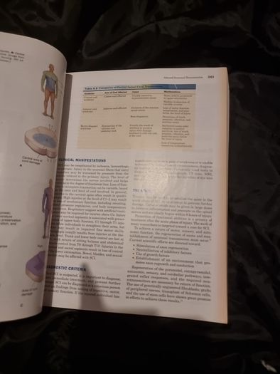 Pathophysiology: A Clinical Approach