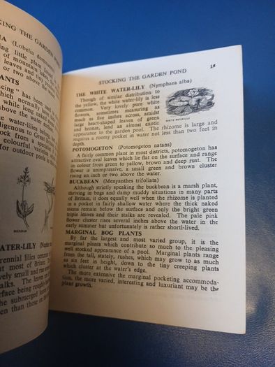 Vintage Garden Pond booklet