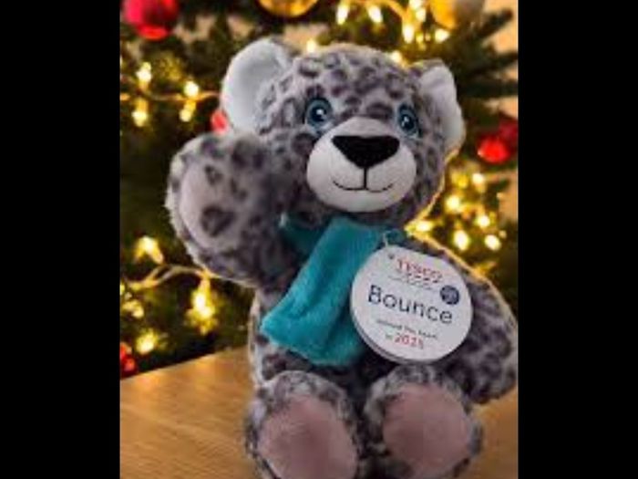 1 Euro Each - Soft Toy Mixture