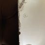 Large Early Mid Century Vintage Beveled Mirror with Reversed Carved Etched Image Image 8