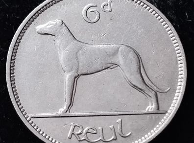 Ireland - 1940 - 6 Pence - KM.13 - [507]