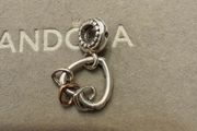 Pandora charm