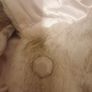 Fashion Concept by Decollage faux fur in champagne UK 12 Image 6
