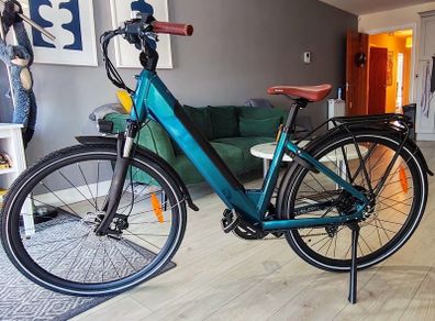 Fiido C11 Pro eBike in Excellent Condition