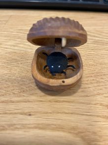 Handmade Bug In A Box - Spider