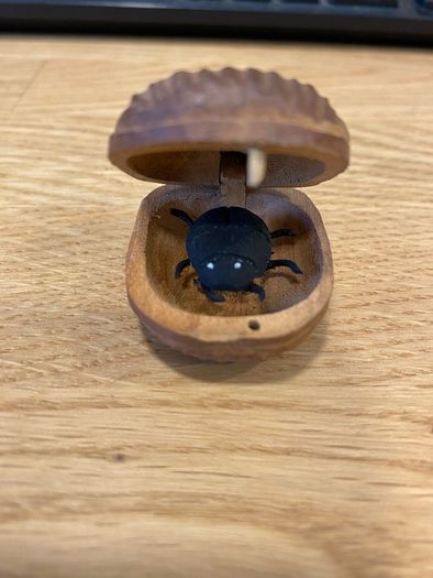 Handmade Bug In A Box - Spider