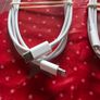 Apple iPhone Charger Cable Image 3